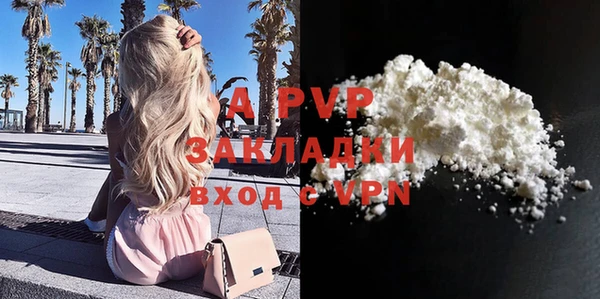 ешки Алексин