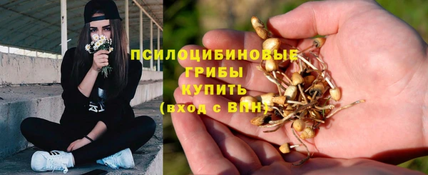 крисы Алзамай